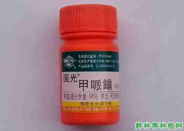 玉米苗期能使用哪些生长调节剂呢(玉米苗期能使用哪些生长调节剂施肥)